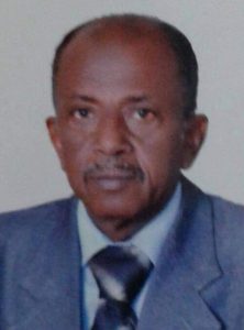Sallam Medani Ahmed Alameen